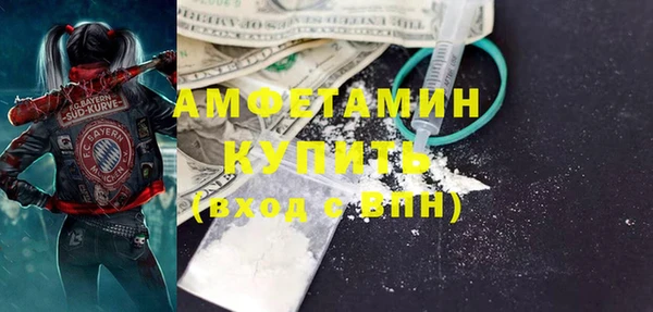 шишки Волоколамск