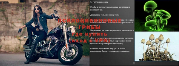MDMA Волосово