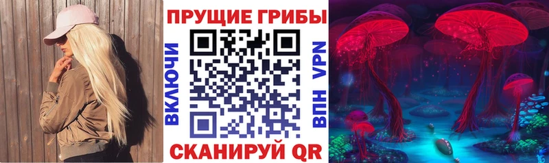 Галлюциногенные грибы Cubensis  магазин  наркотиков  Новосибирск 